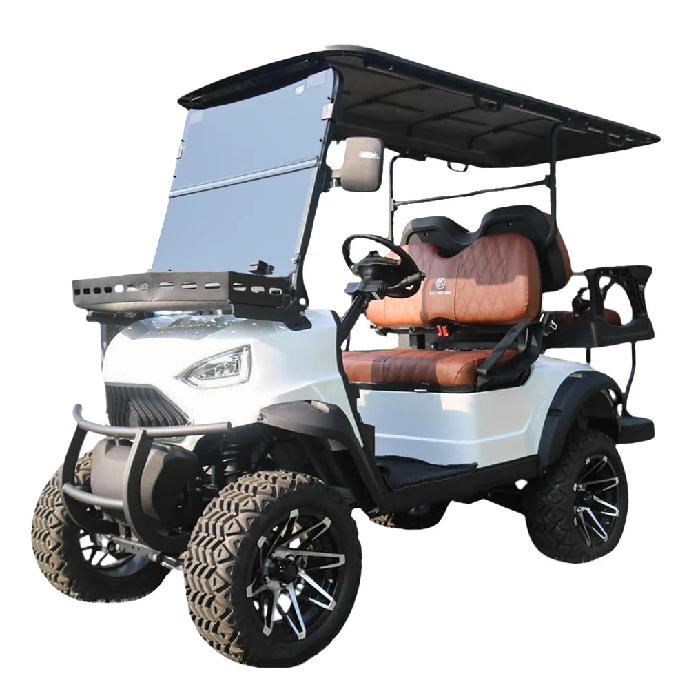 2+2 Seat Electric Vehicle