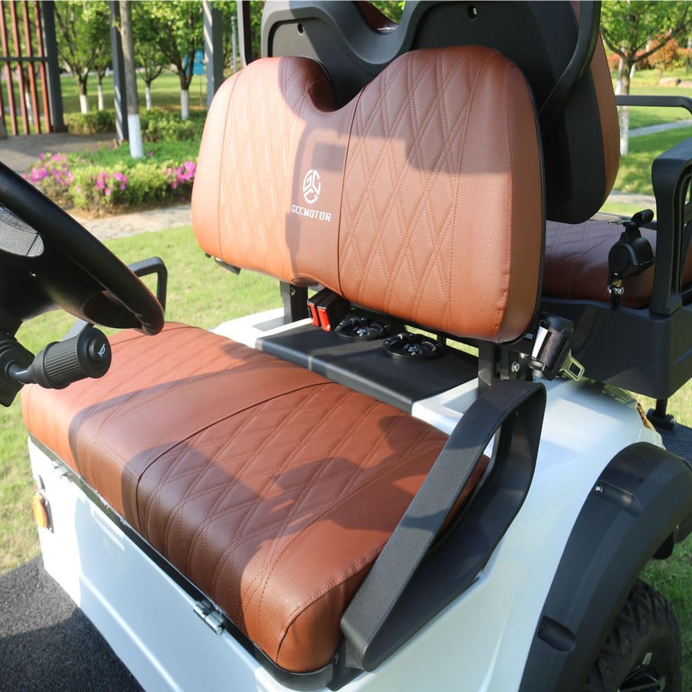 2+2 Seat Electric Vehicle